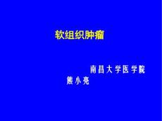 软组织肿瘤【99页】