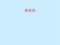 脾破裂【19页】