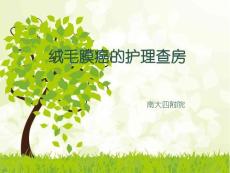 绒毛膜癌护理查房【30页】