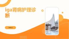 iga肾病护理诊断