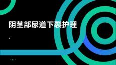 阴茎部尿道下裂护理