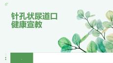 针孔状尿道口健康宣教