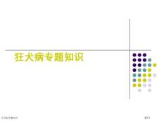 狂犬病专题知识