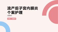 流产后子宫内膜炎个案护理