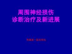 周围神经损伤及诊断治疗新进展 PPT课件