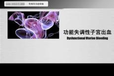功能性子宫出血-妇科教学课件