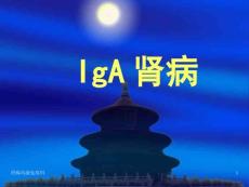 iga肾病--课件