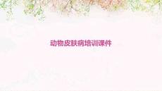 2025年动物皮肤病培训课件