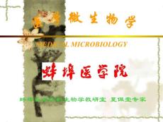 破伤风杆菌课件
