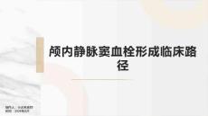 颅内静脉窦血栓形成临床路径