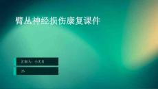 臂丛神经损伤康复课件
