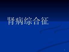肾病综合征膜性肾病ppt课件