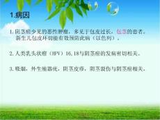 阴茎癌讲座