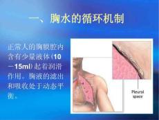 少量胸腔积液