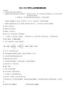 2022年新疆生產(chǎn)建設(shè)兵團(tuán)第二師二十五團(tuán)中學(xué)化學(xué)九年級(jí)第一學(xué)期期末達(dá)標(biāo)檢測(cè)模擬試題含解析