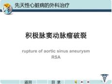 主动脉窦瘤破裂培训课件培训课件