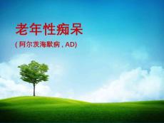老年痴呆【57页】