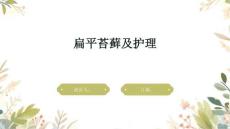 扁平苔藓及护理