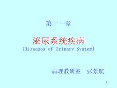 肾小球肾炎