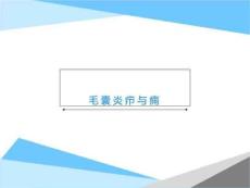 毛囊炎疖与痈【20页】