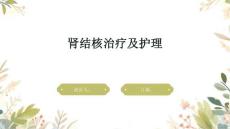 肾结核治疗及护理