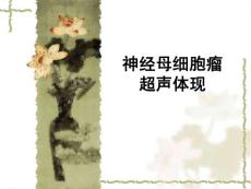 神经母细胞瘤超声表现培训课件