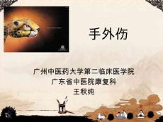 手外伤【122页】