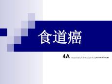 食道癌课件资料教程