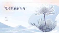常见眼底病治疗