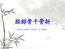胫腓骨干骨折专家讲座培训课件