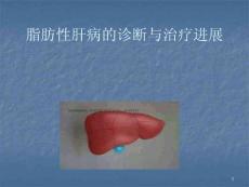 脂肪肝课件