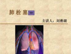 肺栓塞_2
