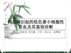 探讨钩虫病引起的低色素小细胞性贫血培训课件