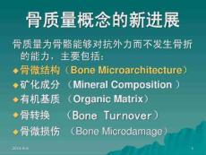 骨质量与骨质疏松
