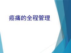 癌痛全程管理