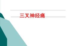 三叉神经痛【23页】