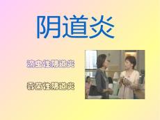 阴道炎【13页】