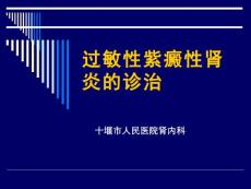 紫癜性肾炎【36页】