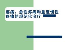 癌痛、急性疼痛和慢性非癌痛的治疗【89页】