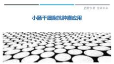 小肠干细胞抗肿瘤应用