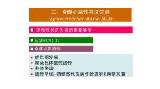 脊髓小脑性共济失调培训课件