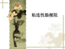 粘连性肠梗阻培训课件