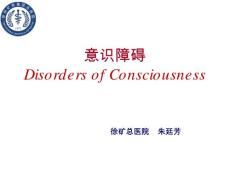 意识障碍【23页】