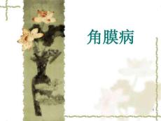 角膜炎课件培训课件