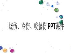 烧伤冷伤咬螫伤ppt课件
