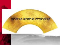 宫颈癌前病变和宫颈癌PPT培训课件