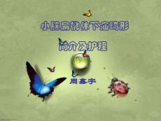 小脑扁桃体下疝畸形PPT培训课件