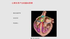 小儿心律失常【41页】_20224086