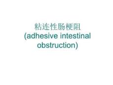 外科学粘连性肠梗阻培训课件