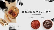 麻醉与麻醉生理课件
